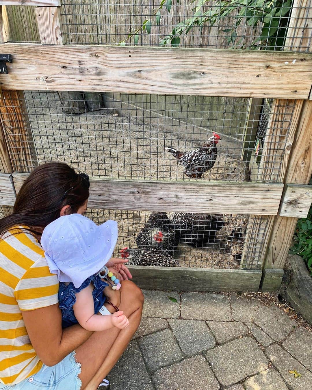マリッサ・キャステリのインスタグラム：「Zoo trip with my little chicken 🐓 . . . . . . *#auntielife #zoo #rhodeisland #rogerwilliamszoo」