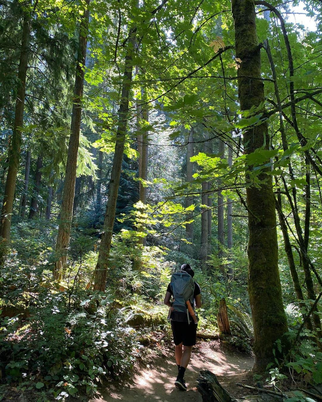 ヘリム・パクさんのインスタグラム写真 - (ヘリム・パクInstagram)「- 리아와 엄마아빠의 첫 하이킹🥾⛰ Hiking back carrier에 처음 타는데도, 안울고 잘 타준 리아😊 리아 이렇게 등뒤에 메고 하이킹하는게 아빠 꿈이었는데, 드디어 이뤘네💙 오늘은 처음이라, 짧은 코스였지만, 앞으로 더 많은 곳으로 하이킹 다니자. . . . #첫하이킹 #리아네 #시애틀맘 #등산캐리어 #hiking」8月31日 6時17分 - iam_hyepark