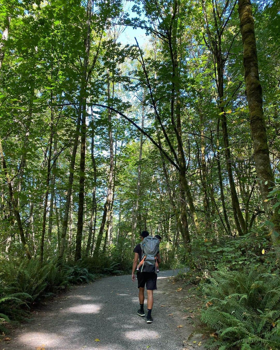 ヘリム・パクさんのインスタグラム写真 - (ヘリム・パクInstagram)「- 리아와 엄마아빠의 첫 하이킹🥾⛰ Hiking back carrier에 처음 타는데도, 안울고 잘 타준 리아😊 리아 이렇게 등뒤에 메고 하이킹하는게 아빠 꿈이었는데, 드디어 이뤘네💙 오늘은 처음이라, 짧은 코스였지만, 앞으로 더 많은 곳으로 하이킹 다니자. . . . #첫하이킹 #리아네 #시애틀맘 #등산캐리어 #hiking」8月31日 6時17分 - iam_hyepark