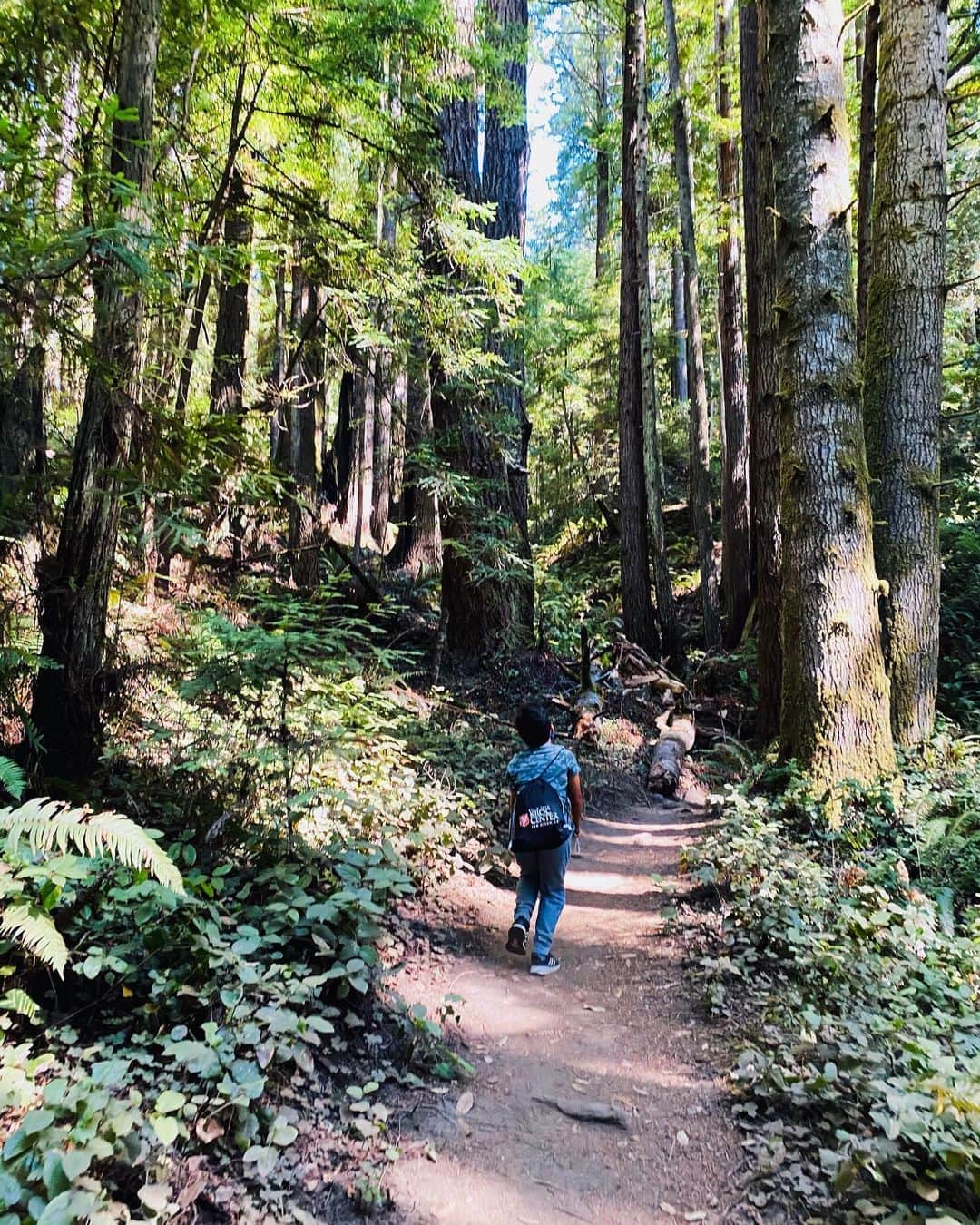Antonietteさんのインスタグラム写真 - (AntonietteInstagram)「Ventured off to Mendocino County for a few days where we visited some beaches and Russian Gulch State Park where it was  peaceful, quiet and remote! It was so dreamy to be surrounded by the ocean and the lush surroundings of the redwood trees! Never been to this part of the California coastline and it was gorgeous! The waters were clear, turquoise blue, pristine but frigid! A nice break before the kids start distance learning  tomorrow. 😅 After this week (or every week)  I might have to recreate my own version of a Mendocino County beach by plunging into a tub full of ice water. 🏊🏼‍♀️ 🧊 💦 🛁😆 Here’s to a great school year..we will get through this! 💪🏽」8月31日 16時08分 - antoniette714