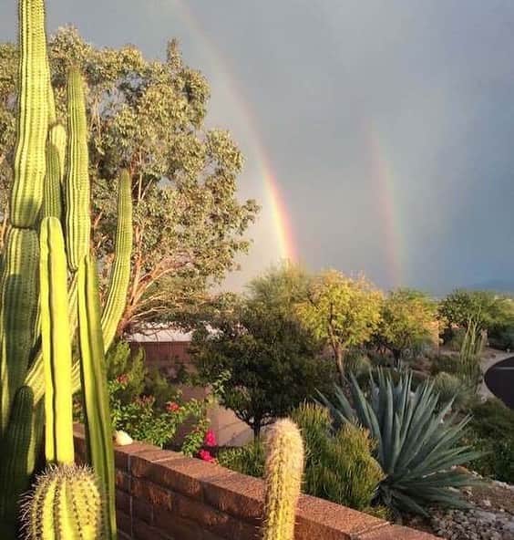 のインスタグラム：「見れたら👀幸せな気分💕になれちゃう🌈ダブルレインボー🌈 これは、先日アリゾナ州ツーソン(Tucson, Arizona)で📸されたものです。 ツーソンはアリゾナ州で2番目におおきな街です🌵 . #usa #america #studyabroad #livinginamerica #arizona #tucson #rainbow #cactus #aftertherain #feelinglucky #doublerainbow #photooftheday #アメリカ #アメリカ生活 #留学 #雨上がりの空に #サボテン #虹 #レインボー #ダブルレインボー #ラッキー #アリゾナ州 #ツーソン #曇り空 #カラフル #虹色 #motivationmoday #lastdayofaugust」