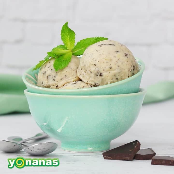 Yonanasのインスタグラム：「Do you LOVE Mint Chocolate Chip Ice Cream? This healthier Yonanas version will leave you shocked that this creamy treat is just bananas & mint-infused chocolate!」