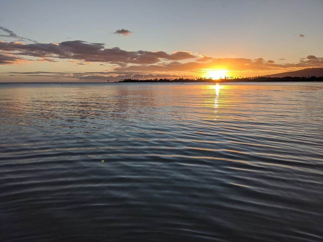 Honolulu Myohoji Missionさんのインスタグラム写真 - (Honolulu Myohoji MissionInstagram)「🌅 According to a study from Dr. Kazuo Murakami, a professor from Tsukuba University, Japan, peace in your mind is something to do with our DNA. Human body’s #DNA itself has an ability to activate and de-activate its DNA based on the environment. It’s like turning on and off the light switch. Our DNA switch is ON, which means activated and our DNA switch is OFF, meaning that our DNA is getting weak or stopped working.  This study shows that our DNA is strongly related to our state of mind. The discovery of a connection between compassionate mind and DNA. What to do to keep our mind positive? We would highly recommend to pray on your daily life.  Cultivating mind of compassion through our prayer reinforces our #immunity 🧘🏽  * * * #ハワイ #ハワイ好きな人と繋がりたい  #ハワイだいすき #ハワイ好き #ハワイに恋して #ハワイ大好き #ハワイ生活 #ハワイ行きたい #ハワイ暮らし #オアフ島 #ホノルル妙法寺　#思い出#meditation #瞑想 #honolulumyohoji #honolulumyohojimission #御朱印女子 #開運 #穴場 #パワースポット #hawaii #hawaiilife #hawaiian #luckywelivehawaii #hawaiiliving #hawaiistyle #hawaiivacation」8月31日 8時29分 - honolulumyohoji