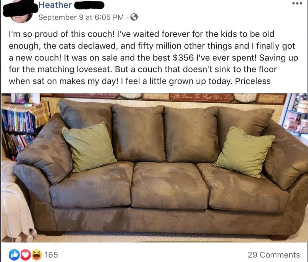 のインスタグラム：「Justice will be served for all the innocent cats who had their much needed toe bones and claws amputated for the welfare of a couch by all the unethical declawing veterinarians. 😾 These inhumane declawing vets care more about the welfare of their pocketbooks than they do the welfare of cats. 😾😾 💴  Please join us and help us end this barbaric cat cruelty.❤️ 🐾  If you know of any ethical, no-declaw vet practices in Michigan (or any state), please send them to us. Citythekitty@gmail.com Our list of humane, no-declaw vets  is on our website citythekitty.org #NeverTrustADeclawingVet #michigancat #michiganders #factsmatter #wakeup #declawingiscruel #animalcruelty」