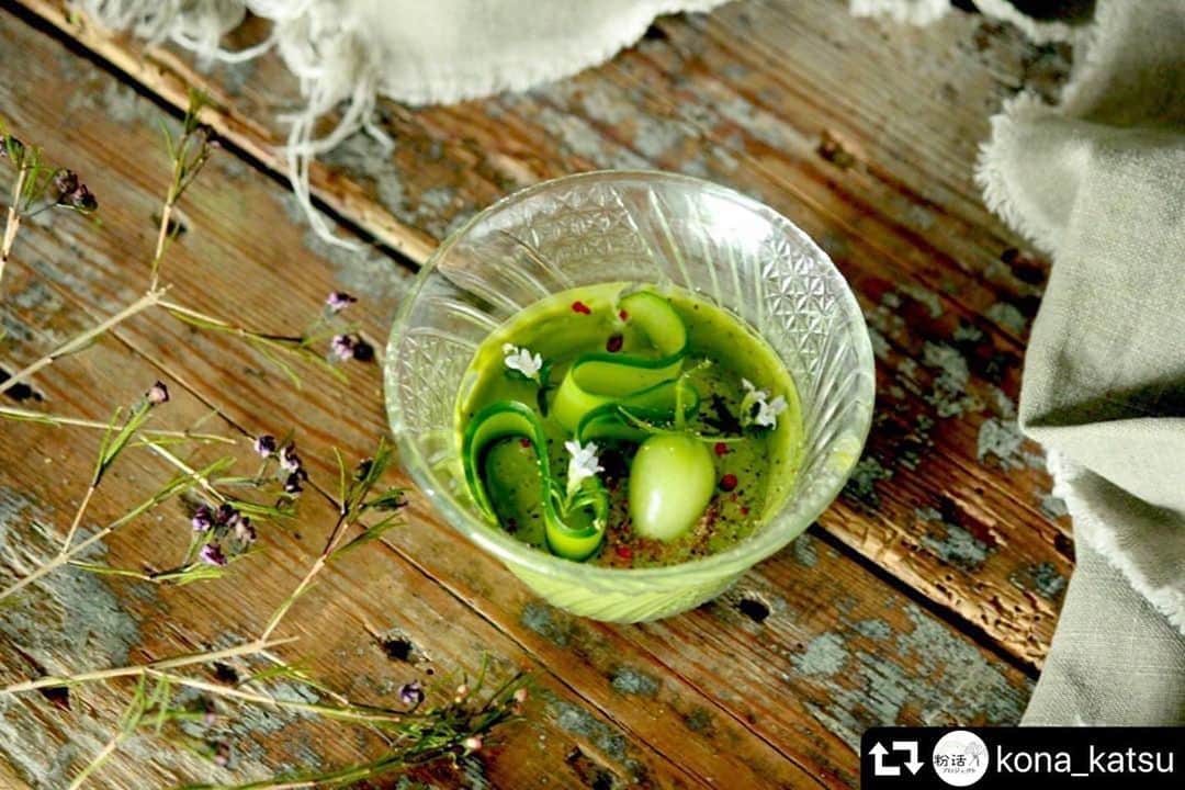 あやこのインスタグラム：「. 2020年8月31日野菜の日 新たなプロジェクトの始まり 管理栄養士と漢方薬剤師による食の処方箋 先生方が添えられる栄養や効能の知識は 暮らしのヒントに ◡̈♥︎ . 私はアンバサダーとして 調理やスタイリングで携わります . 難しくて真似できないことではなくて 細かな数字も必要ではないような... あ、私もこれにひとつまみ 粉をプラスしてみようかな？ そんなヒントを発していけたらと思います♡ . . . #repost @kona_katsu ・・・ ・ ＊concept インドのライタにヒントを得た新しいサラダです。 暑さでお疲れ気味の体にすぅっと染みるようなイメージをグラスの中に。 ほうれん草パウダーを含んだヨーグルトにひらひらのきゅうり、 まだ青いトマト・・・ 緑のコントラストが涼しげに映ります  ＊point 粉で赤を効かせて。岩塩で味を締めて。  ＊使用粉末 #ほうれん草パウダー #チリパウダー #パプリカパウダー  ＊栄養point ほうれん草にはβ-カロテンや鉄のほか、野菜の中でもカリウムの含有量がトップクラス。 抗酸化力の高いβ-カロテンの働きで肌や目などカラダへの紫外線からのダメージを防ぎ、汗で失われるミネラルの補給など、暑い日が続き紫外線も強いこの季節にぴったりの栄養補給ができます。  発酵暮らし家・料理研究家 みつはしあやこ @mitsuhashi_ayako  #粉活 #粉活アート #粉活アートアンバサダー  #鉄分補給 #紫外線対策」