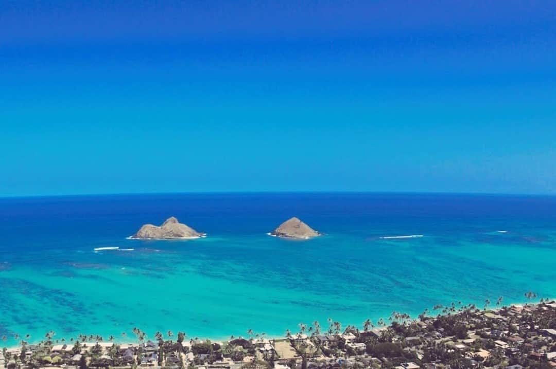 ハワイアン航空さんのインスタグラム写真 - (ハワイアン航空Instagram)「Aloha kakahiaka! 8月最後の#マンデーブルー は真っ青な#ラニカイ から💙  #ハワイの風景 #マンデーブルー #ハワイのビーチ #ハワイ好きな人と繋がりたい #vitaminsea」8月31日 9時34分 - hawaiianairlinesjp