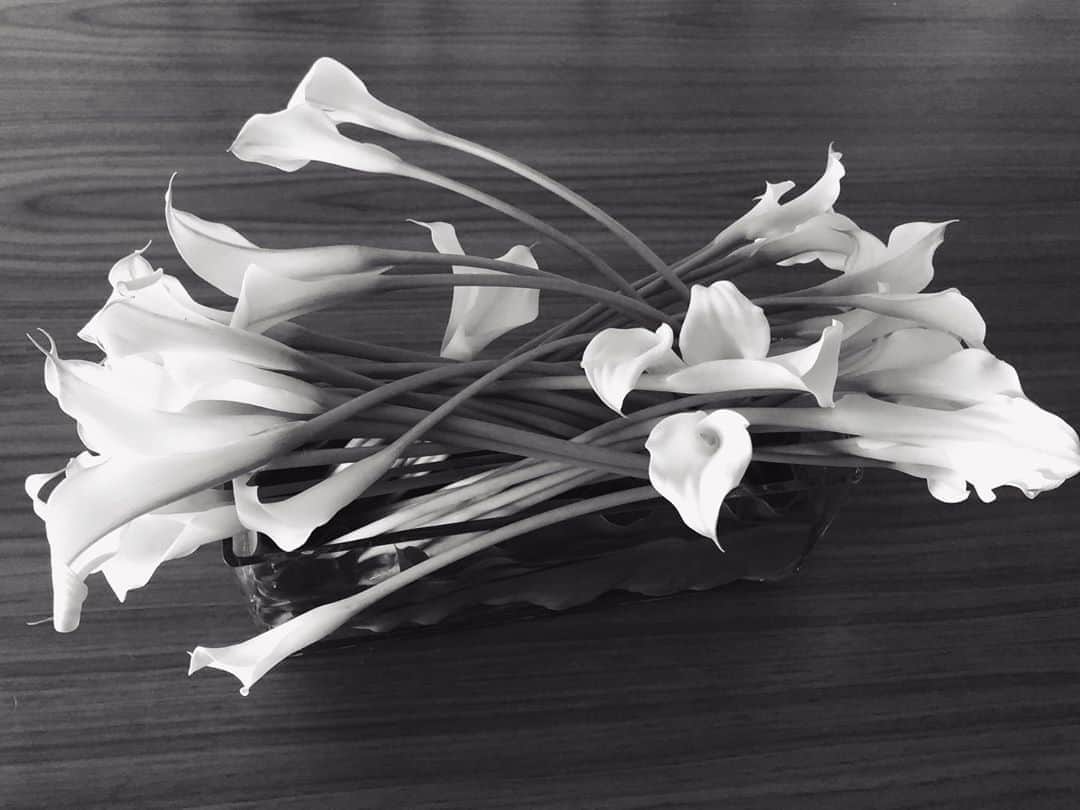 loin.officialさんのインスタグラム写真 - (loin.officialInstagram)「Calla lily 曲線が美しい  @aux_cerises」8月31日 9時58分 - loin.official