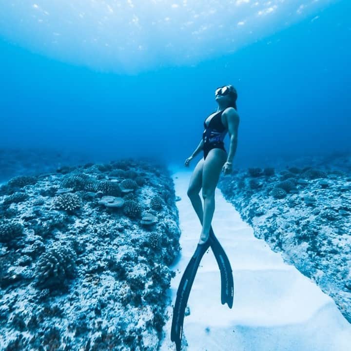 ロキシーのインスタグラム