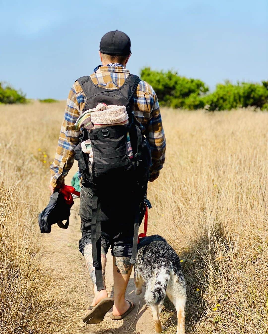 Dogs by Ginaのインスタグラム：「We’ve been fleeing the smoke brought on by the California Wildfires. Weekends on the coast brings relief. Stay well friends.」