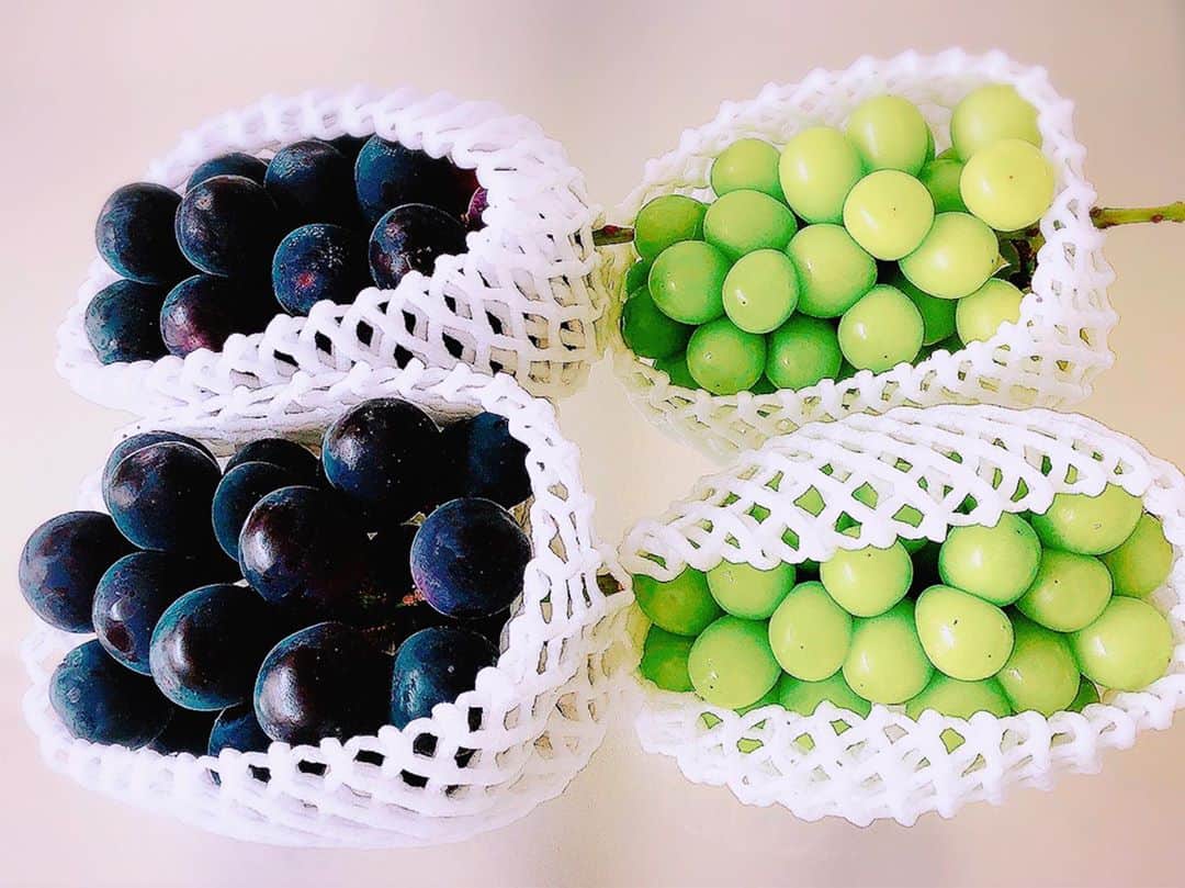 のインスタグラム：「今年も届きました🍇 @yazaki.gf1005  看板のないぶどう園 ヤザキ農園さんから😊  糖度がやばぁ〜い甘ぁ〜い最高級品たちです💯  @shm0701 ちゃんいつもありがとう😊 早くしないと無くなっちゃうから皆さんも早めにお取り寄せしなくちゃだわよ→ @yazaki.gf1005   #ヤザキ農園 #矢崎農園 #山梨 #ピオーネ #シャインマスカット #巨峰 #巨峰 ⭕️ #巨乳 ❌」