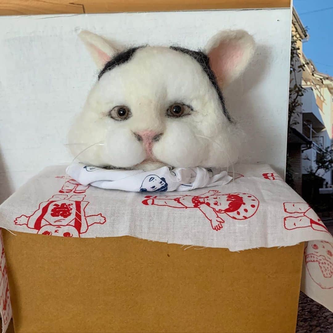 Kachimo Yoshimatsuのグルメインスタ