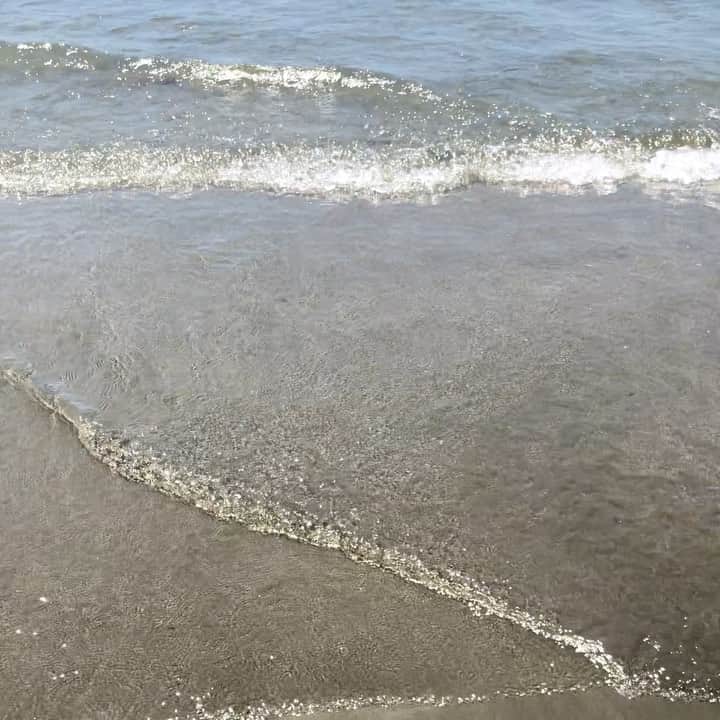 のインスタグラム：「波の音って なんでこんな癒されるんだろう🏝 . . #夏の〆」