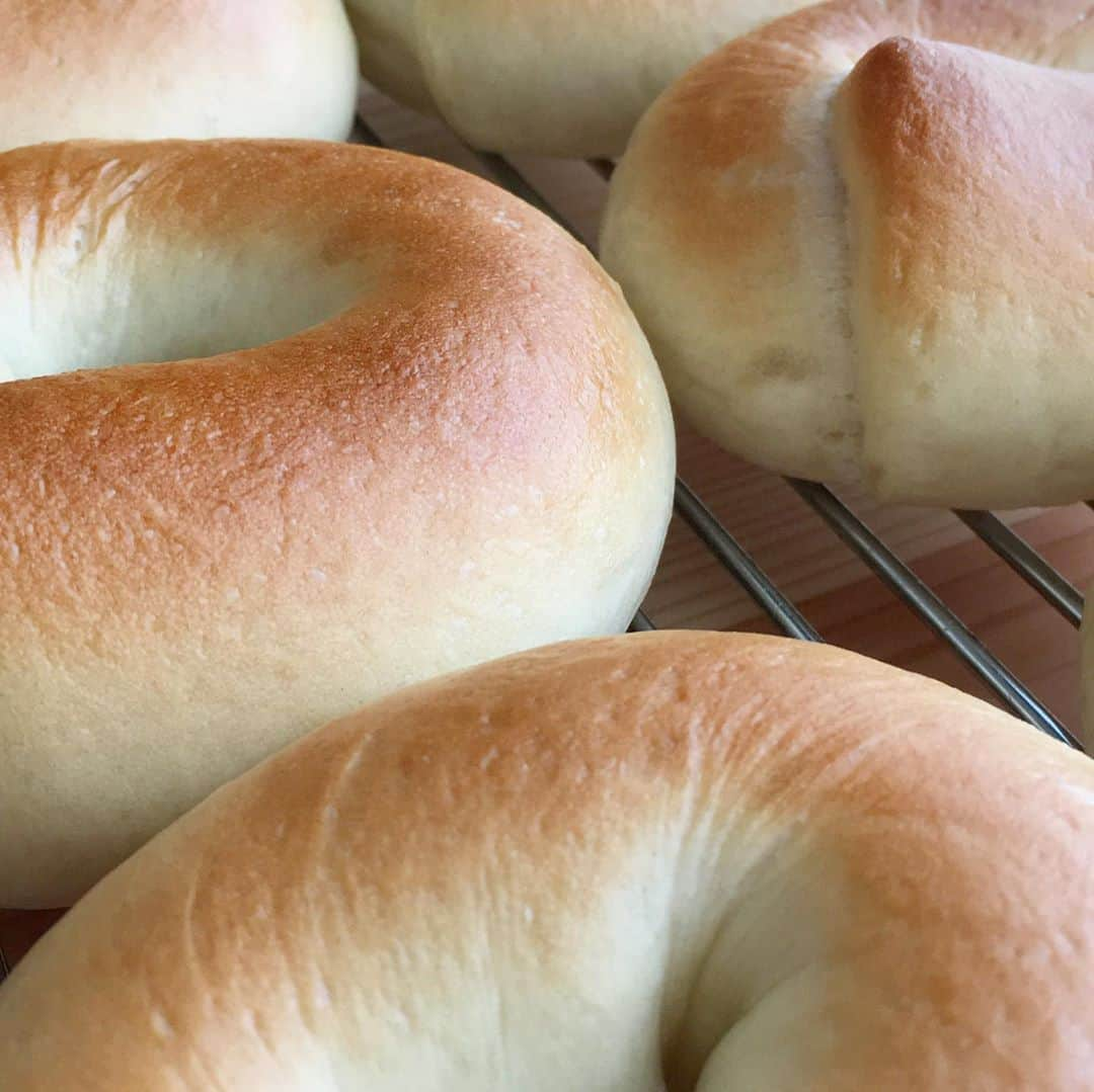 宮本菜津子さんのインスタグラム写真 - (宮本菜津子Instagram)「ひさしぶりにベーグル焼いた🥯ら、皺皺になっちゃった〜。けど、焼くの楽しかった！ - まだまだ暑いけど、夏の暑さが去りつつあるね。夏の間は、ベーグル焼きたい気持ちも食べたい気持ちもわかずだったけど、だんだんその気持ちが復活してきたのでおそらく秋はもう近い🍠 - みんな、元気にしてる？ - #massofthefermentingdregs  #motfd #masudore #bagle  #bagel  #homemadebread  #homemadefood  #マスドレ #ベーグル  #ホームメイド」8月31日 11時15分 - natsukondesu