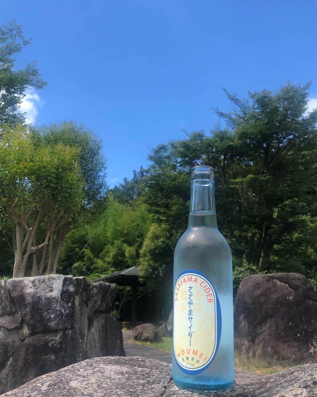 田中幸恵のインスタグラム：「____  . 🎐🌻🌴  しゅわしゅわ🟦」