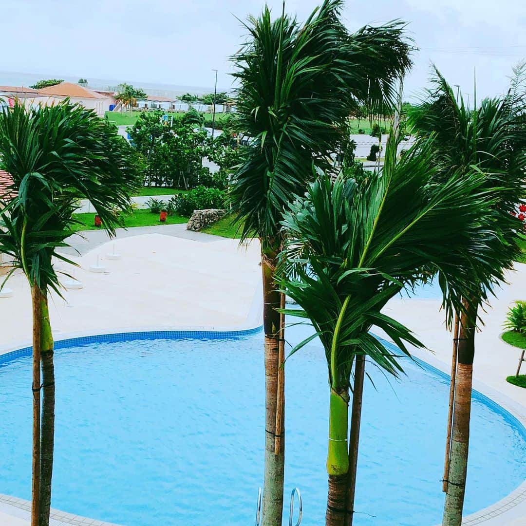 サザンビーチホテル＆リゾート沖縄さんのインスタグラム写真 - (サザンビーチホテル＆リゾート沖縄Instagram)「台風対策。  いつも正面玄関外でお出迎えしているクイナさん。 飛ばされてしまう恐れがあるので、 屋内1階に避難しております。  敷地内のヤシの木も、 葉を束ねて、支え木を添えて、 折れないようにしています。  皆さまも、どうぞお気をつけください。  . . . #サザンビーチホテル #サザンビーチリゾート沖縄 #糸満贅沢リゾート #沖縄 #沖縄旅行 #糸満  #南国リゾート #沖縄好きな人と繋がりたい #southernbeachhotel #luxury #okinawa #okinawatrip  #itoman #loves_okinawa #okinawalife #서던비치호텔 #서던비치리조트오키나와 #사치 #오키나와 #오키나와여행 #리조트」8月31日 13時08分 - southernbeachokinawa