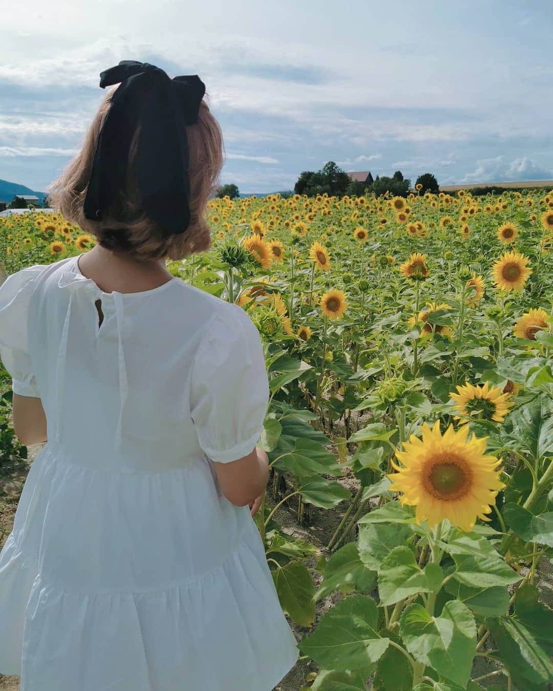 黛実希さんのインスタグラム写真 - (黛実希Instagram)「8月も今日で終わりかあ🌻 . 嫌なことあったり嬉しいことあったり、激しい1ヶ月でした😂🎢 とにかくずっと笑いまくってた8月💕 9月もまた頑張ろう🧚💓 . . . #해바라기#ひまわり#ひまわり畑#🌻#北海道#北海道旅行」8月31日 13時14分 - candymiiiki