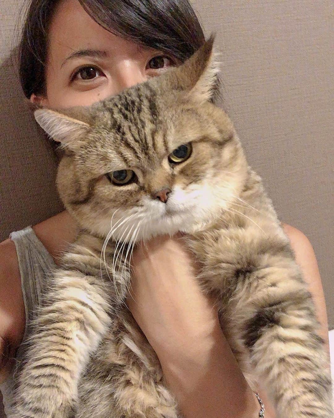矢部あやのインスタグラム：「8月27日はカヲルくんの誕生日でした！ もう11歳なのか…早いなあ… 長生きしてねー！！」