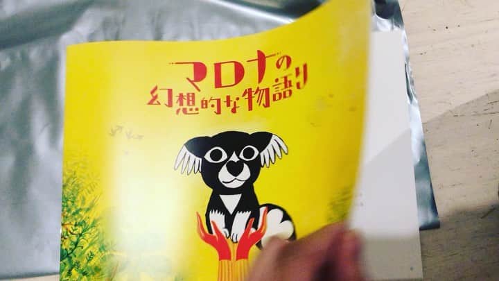 のインスタグラム：「映画『マロナの幻想的な物語り』 ユーロスペースにて字幕版で 先行公開中。 この体感は是非して欲しい 見事なまでのアートでリリカルな アニメーション映画。 パンフレットに寄稿しています。  #マロナの幻想的な物語り #映画 #アート #アニメーション  #anime #movie #cinema  #犬 #犬好きな人と繋がりたい  #ミニシアター #洋画  #カラーセラピー #映画好きな人と繋がりたい  #おすすめ映画 #さとりオススメ映画  #のん #吹替え #親子 #映画批評  #パンフレット寄稿文 #パンフレット」