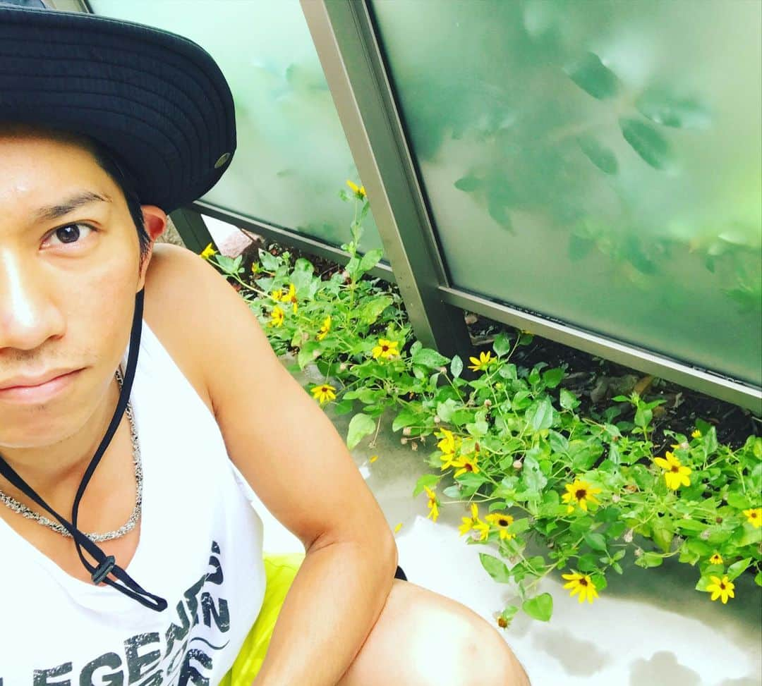 山本佳志のインスタグラム：「Last day of August I  I  I  I  I  今日で8月も終わりだけどまだまだ暑い日は続くのかな。 夏至生まれの僕としては夏の終わりは四季の中で1番寂しい、何かやり残してないかなって気分になるくらい やっぱり夏が1番好き。 そんな傍でうちの🌻どんどん成長してる笑  The last day of HOT August, but it seems like continuing hot days for a while. Meanwhile I already miss the weather cuz I like summer for the best.  Yes, I love summer. Btw my Sunflowers grow steadily by the side.lol  Peace out ✌️   #ひまわり #葉月 #真夏日 #summer #bestseason #成長記録 #家庭菜園 #夏好き #俳優 #役者 #英語 #山本佳志」