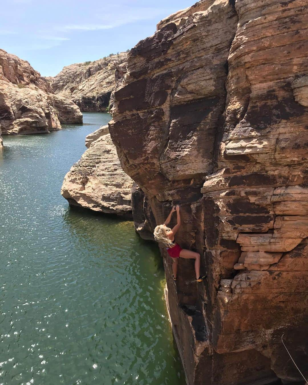 シエラ・ブレア・コイルさんのインスタグラム写真 - (シエラ・ブレア・コイルInstagram)「Ready for more of this 😍 @mammut_swiss1862   #climbing_pictures_of_instagram #climbingpicturesofinstagram #mammut #bouldering #climbing #rockclimbing #training #kletter #klattern #klettering  #climbingismypassion #train #athlete #climbinggirls #climbing_lovers #indoorclimbing #escalade #trainingforclimbing #womenwhoclimb #instafitness #igfitness #sierrabc #sierrablaircoyle #sbc」9月1日 1時07分 - sierrablaircoyl