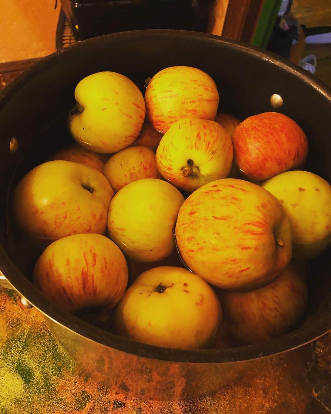 野沢直子さんのインスタグラム写真 - (野沢直子Instagram)「真珠作のアップル🍎パイ❤️ 手入れの怠っているうちの庭にりんごの木🍎があって、勝手にどんどんりんごが出来てくるので、そのりんごで作ってくれました🤣 ガチスクラッチ🤣🤣 #applepie  @shinju_auclair」9月1日 1時51分 - naoko.nozawa