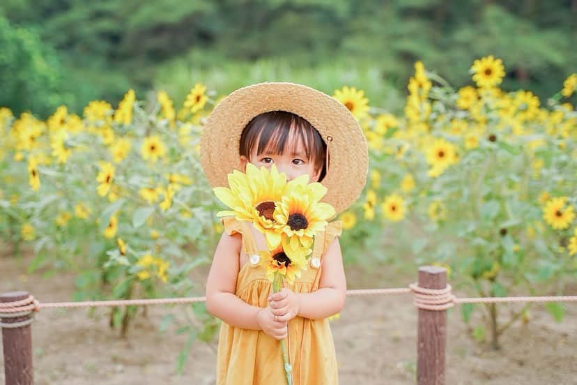 孫きょうさんのインスタグラム写真 - (孫きょうInstagram)「Summer 2020🌻﻿ ﻿ 今年は全然夏らしいこと出来なかったけど﻿ 夏の思い出になったひまわり畑👧🏽👒﻿ ﻿ @sparklingmoment_non に撮ってもらった💛﻿ 自然に遊んでる姿は日常の表情だし﻿ ロケーションばっちりで成長記念にもなるし﻿ ほんといい写真すぎて嬉しい🥺❤️﻿ ﻿ 七五三も当日ロケ撮影はのんにお願いするんだ！﻿ ﻿ 高校からの親友ちゃん。﻿ 昔から知ってるから断言出来るけど、﻿ 子供に間違いなく好かれて﻿ "その子らしさ"を引き出してくれるカメラマン✌🏽✨﻿ ﻿ (持ってるひまわりはのんが用意してくれていた造花です🌻)﻿ ﻿ #kidsphotography #sunflower #昭和記念公園 #キッズフォト #キッズコーデ #キッズファッション #ひまわり畑 #ひまわり #2歳 #2歳11ヶ月 #女の子ママ #親バカ部 #夏の思い出」8月31日 17時33分 - sonkyou1013