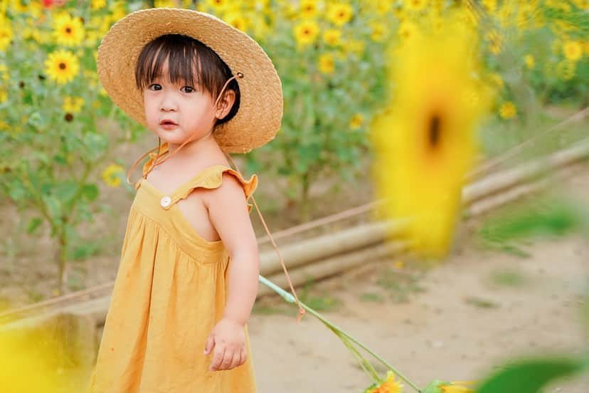 孫きょうさんのインスタグラム写真 - (孫きょうInstagram)「Summer 2020🌻﻿ ﻿ 今年は全然夏らしいこと出来なかったけど﻿ 夏の思い出になったひまわり畑👧🏽👒﻿ ﻿ @sparklingmoment_non に撮ってもらった💛﻿ 自然に遊んでる姿は日常の表情だし﻿ ロケーションばっちりで成長記念にもなるし﻿ ほんといい写真すぎて嬉しい🥺❤️﻿ ﻿ 七五三も当日ロケ撮影はのんにお願いするんだ！﻿ ﻿ 高校からの親友ちゃん。﻿ 昔から知ってるから断言出来るけど、﻿ 子供に間違いなく好かれて﻿ "その子らしさ"を引き出してくれるカメラマン✌🏽✨﻿ ﻿ (持ってるひまわりはのんが用意してくれていた造花です🌻)﻿ ﻿ #kidsphotography #sunflower #昭和記念公園 #キッズフォト #キッズコーデ #キッズファッション #ひまわり畑 #ひまわり #2歳 #2歳11ヶ月 #女の子ママ #親バカ部 #夏の思い出」8月31日 17時33分 - sonkyou1013