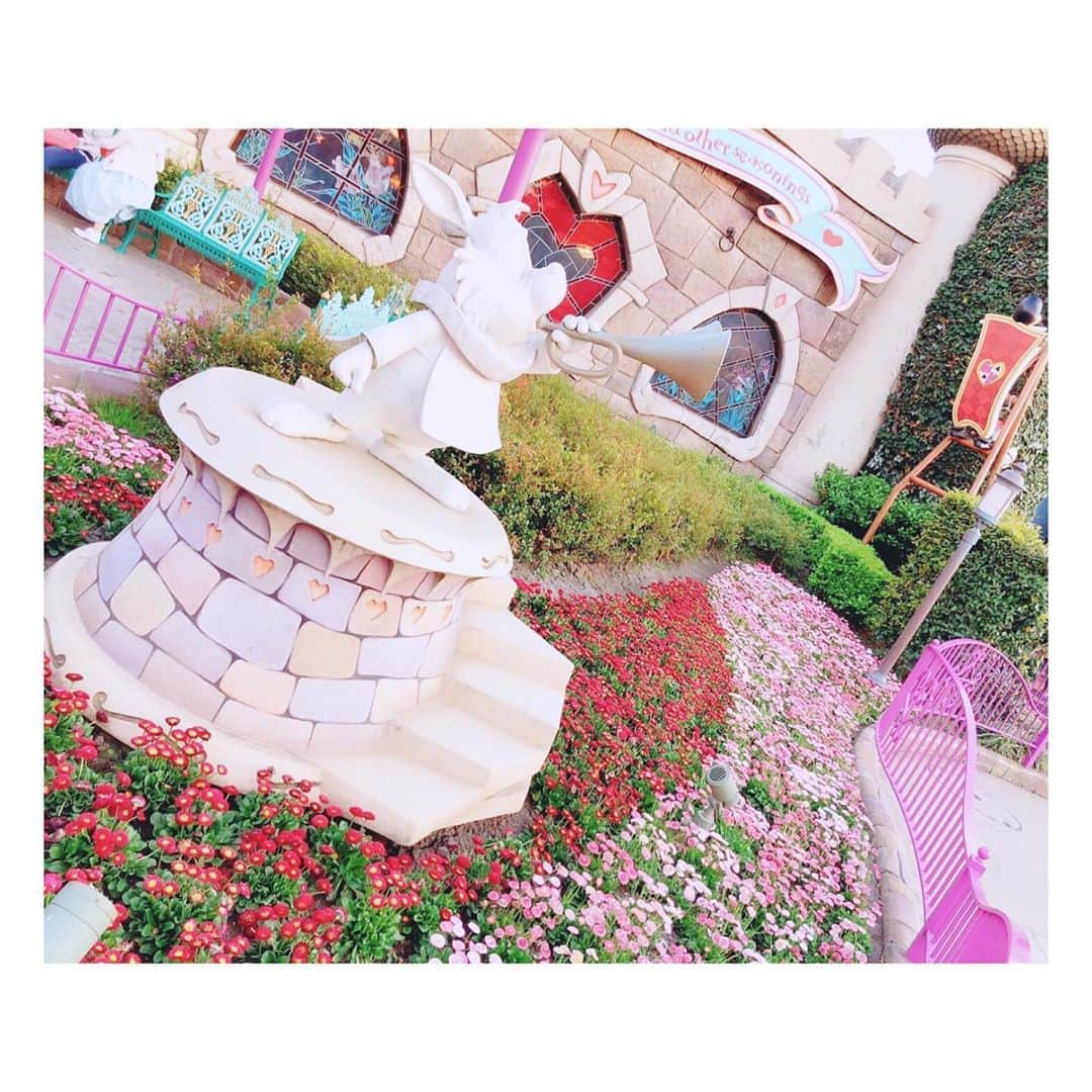 山崎エリイさんのインスタグラム写真 - (山崎エリイInstagram)「ㅤㅤㅤㅤㅤㅤㅤㅤㅤㅤㅤㅤㅤㅤㅤㅤㅤㅤㅤㅤㅤㅤㅤㅤㅤㅤㅤㅤㅤㅤㅤㅤㅤㅤㅤㅤㅤㅤㅤ 夢と魔法の国🎠✨ ㅤㅤㅤㅤㅤㅤㅤㅤㅤㅤㅤㅤㅤㅤㅤㅤㅤㅤㅤㅤㅤㅤㅤㅤㅤㅤ アルバムを整頓をしていた際に お気に入りの一枚を発見したので 載せてみました🌷 ㅤㅤㅤㅤㅤㅤㅤㅤㅤㅤㅤㅤㅤㅤㅤㅤㅤㅤㅤㅤㅤㅤㅤㅤㅤㅤ 写真を見たり音楽を聴いて 気持ちを抑えている今日この頃。 ㅤㅤㅤㅤㅤㅤㅤㅤㅤㅤㅤㅤㅤㅤㅤㅤㅤㅤㅤㅤㅤㅤㅤㅤㅤㅤ 今どのような感じになってるんだろう？ エネルギーチャージしたいです💭 ㅤㅤㅤㅤㅤㅤㅤㅤㅤㅤㅤㅤㅤㅤㅤㅤㅤㅤㅤㅤㅤㅤㅤㅤㅤㅤ #tokyodisneyresort #ディズニーランド #flower #一昨年の春の #お気に入りショット」8月31日 17時50分 - erii_yamazaki