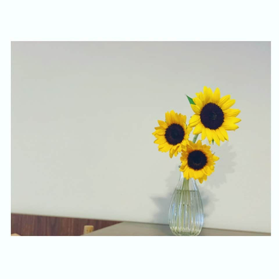 入来茉里さんのインスタグラム写真 - (入来茉里Instagram)「ただいま。 帰りに見かけて買ってきました🌻 ・ 今夜はね 主人が晩ご飯を作ってくれるそうなので、私はなにもしません。 なにもしない。 なにもしないよ〜。 この時間に明日の台本読んで、のんびりしてる、幸せ。 夫婦のあり方、手探りですが、、ありがとう🌻 ・ ・ 皆様、8月もお疲れ様でした。 ・ #flowers #ひまわり #向日葵  #ご飯 #旦那 #男飯 #何が #できるかな #塩分控えめ #お願いします  #嫁 #夫婦 #cooking」8月31日 18時05分 - iriki.mari_official