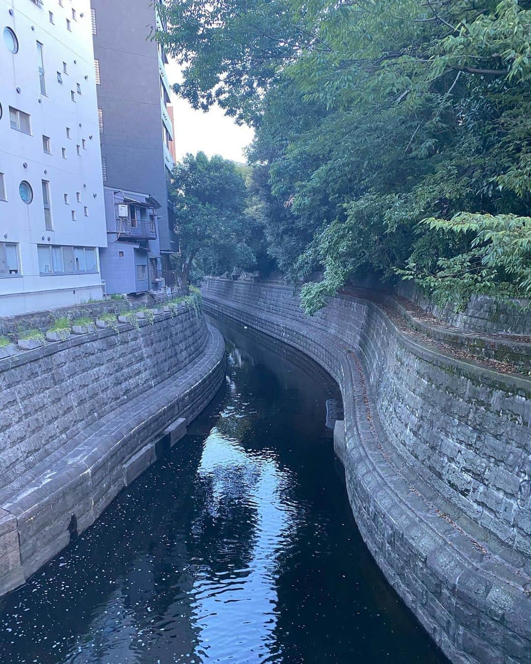 カンニング竹山さんのインスタグラム写真 - (カンニング竹山Instagram)「夏の終わり。」8月31日 18時33分 - cunningtakeyama
