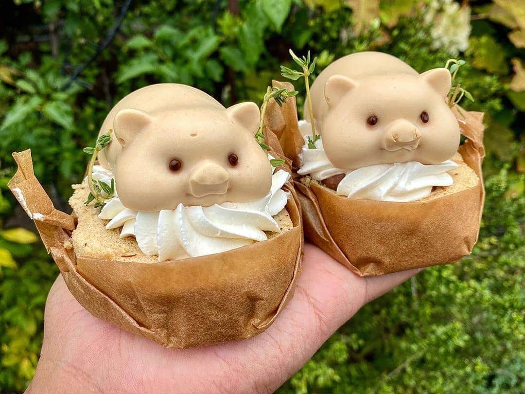 4meee!さんのインスタグラム写真 - (4meee!Instagram)「﻿ ﻿ ＼ラブリーな豚が載ったついクスリとしちゃうスイーツ🐷／﻿ ﻿ 愛知県の名古屋市緑区にあるスイーツ店"PARISIAN PERPETUAL"﻿ の"ロイヤルミルクトン"🐷﻿ ﻿ ﻿ ふわふわの紅茶のロールケーキの上に、ぶたさんのミルクティーのムースをのせたインパクトがすごい、ぶたさんスイーツでが人気なんです！﻿ .﻿ 見た目のインパクトはもちろん、味も美味しくてあと味さっぱりの紅茶のロールケーキに濃厚なミルクティーのぶたさんムース♡﻿ ﻿ 紅茶好きなはたまらないケーキなんだって！﻿ ﻿ もうひとつの人気は﻿ "生搾りグレープフルーツ"﻿ グレープフルーツの実をそのまま器にして、その中にグレープフルーツの果肉たっぷりのゼリーを入れた酸味と甘味が調和された夏にぴったりゼリー♡﻿ .﻿ ﻿■#4meee_cafe﻿ ﻿ PARISIAN PERPETUAL﻿ 📍愛知県名古屋市緑区八ッ松1-101﻿ 🕛【月〜日】10:00～19:00﻿ ・定休日　木曜日﻿ ﻿ ﻿ ﻿﻿ ﻿﻿ ﻿ ﻿❣️ ﻿Photo by　﻿﻿ ﻿@humozii ﻿﻿ ﻿﻿ 流行りのアイテムやスポットには　@4meee_com をタグ付けして投稿してください🎀﻿﻿ .﻿ #4MEEE#フォーミー#アラサー女子#女子力向上委員会﻿ #ロールケーキ #ケーキ #ゼリー #紅茶 #ミルクティー #テイクアウト #お土産 #スイーツ #スイーツ部 #カフェ #グルメ #写真 #フォトジェニック#foodporn #nagoya #nagoyacafe #nagoyafood #nagoyajin #genic_sweets #愛知グルメ #愛知カフェ #名古屋グルメ #名古屋カフェ  # ﻿」8月31日 18時26分 - 4meee_com
