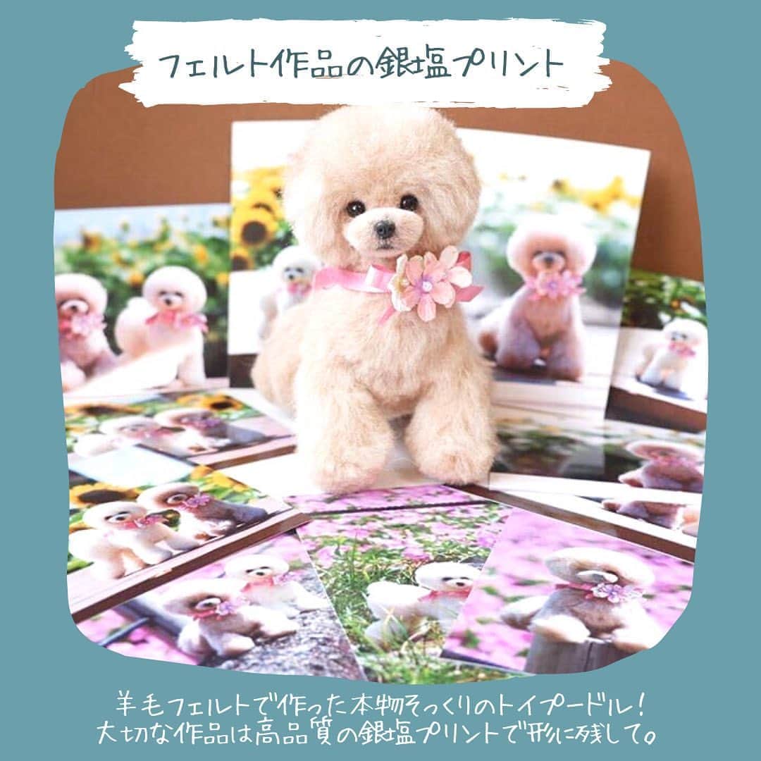 しまうまプリント【公式】フォトブック無料企画開催中のインスタグラム