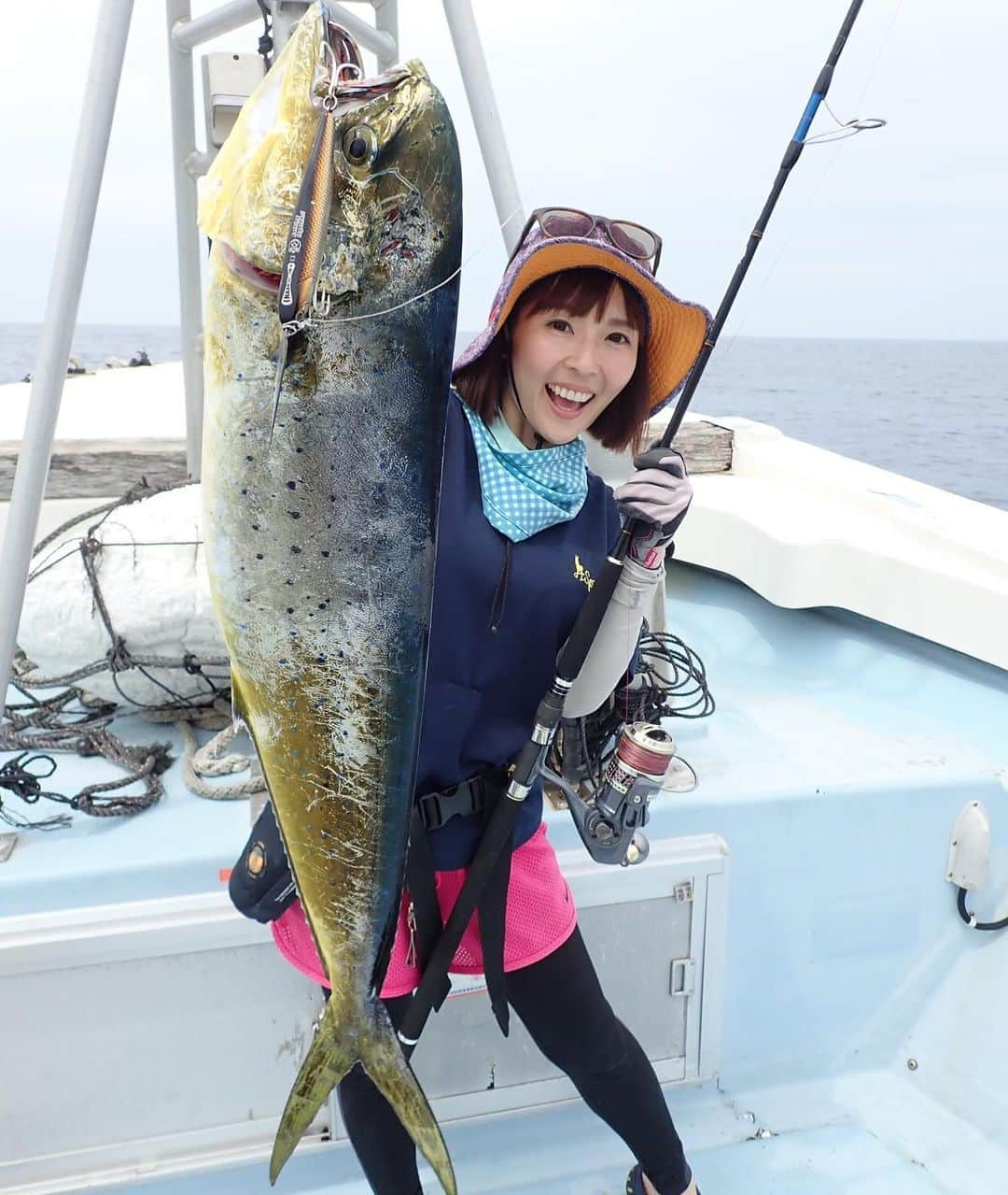 井上直美さんのインスタグラム写真 - (井上直美Instagram)「夏はやっぱりシイラ♪何気に毎年行ってる^_^今年は高知県まで行ってきたよ。夏のオフショアはドキドキワクワク。 動画もあるので良かったら観てね♪→https://youtu.be/IMMOf5erq-M 　#釣り　#釣りガール　#シイラ　#高知県　#ハニスポ　#YouTube  #釣りともなお珍道厨  #テイルウォーク　#ハルシオンシステム　#イナセ　#サンヨーナイロン　#釣り好きな人と繋がりたい  #井上直美」8月31日 18時31分 - naochingyo