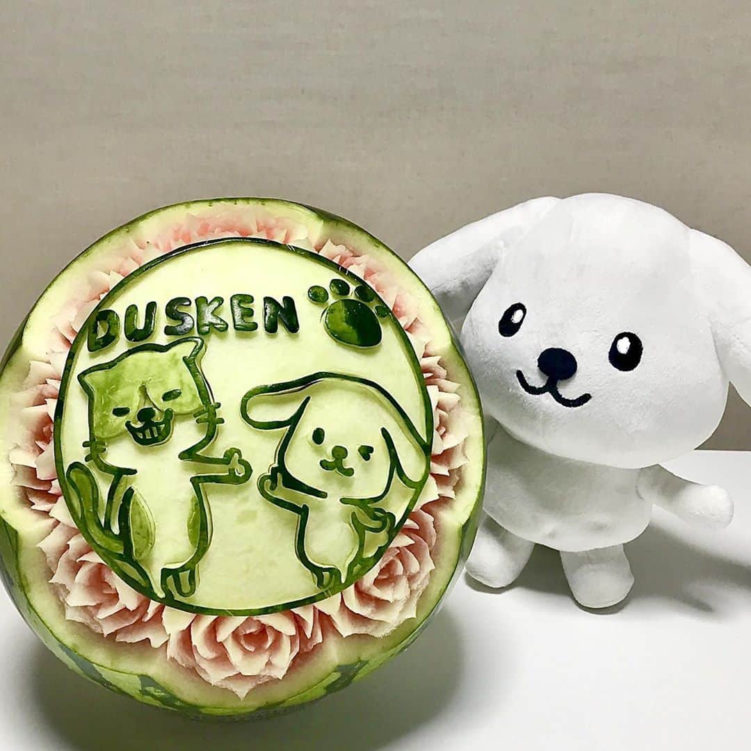 のインスタグラム：「【アートdeダス犬♪ハンドクラフト企画】 @mayumi_ninomiya_carving さんとタイアップ！ スイカでダス犬とシミー・キャットを作っていただきました♪ タイ発祥の「カービング」という手芸で、石鹸やフルーツに綺麗な装飾をするんだよ〜！ スイカ一つでこんなにグラデーションをつけられるなんて驚き...！  #フルーツでカービング #ダス犬のおうちじかん  カービング監修 @mayumi_ninomiya_carving」