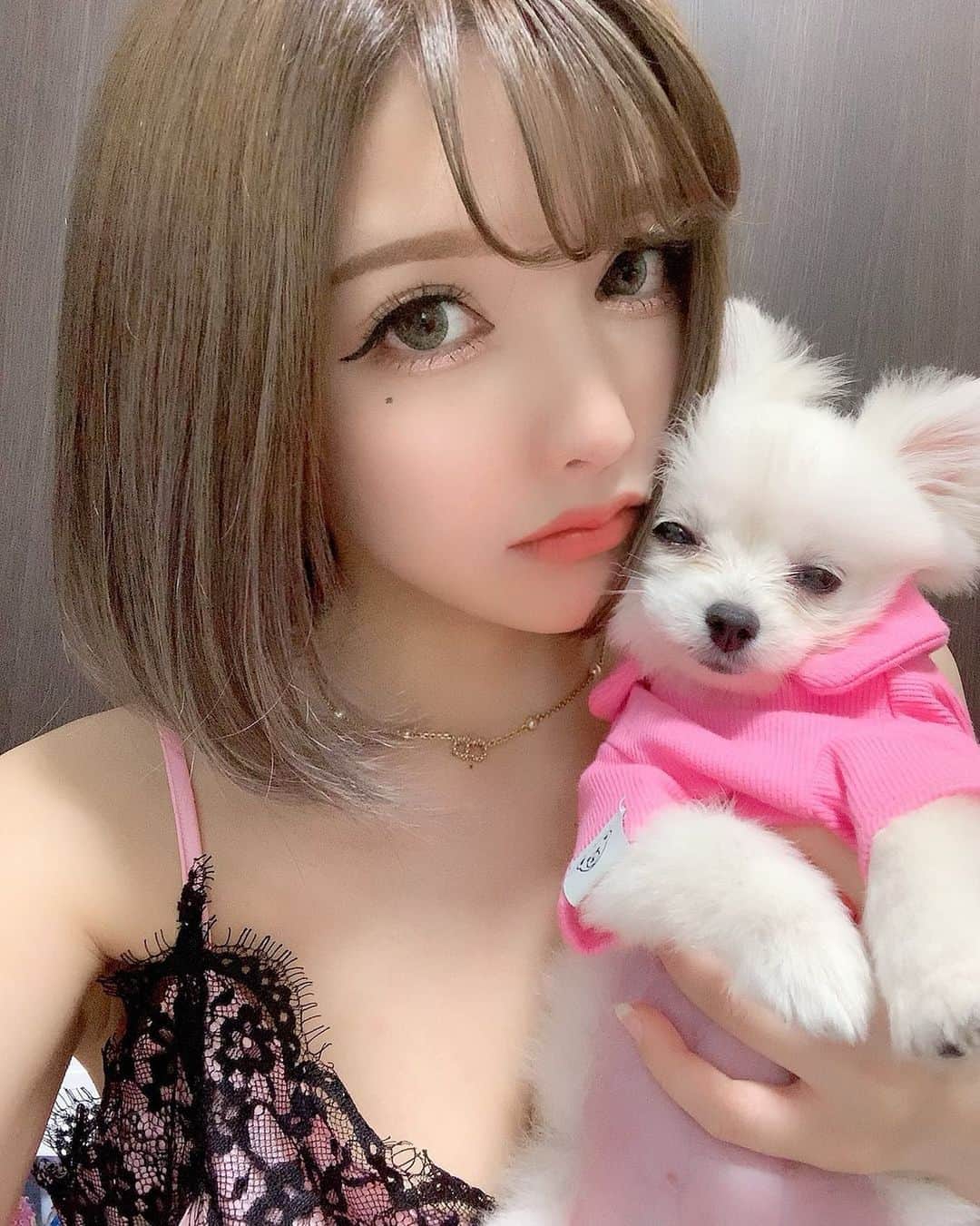 のインスタグラム：「ほいっぷ眠そう😂 キャミソールは @selectshop_vivantjolie さんの❣️ めっちゃ可愛いルームウェアだからまた全体も載せる〜🥰 ・ #ルームウェア #犬 #犬のいる暮らし #犬好きな人と繋がりたい #ポメラニアン #ぽめすたぐらむ #愛犬 #かわいい #andbuzz #視覚の美学」