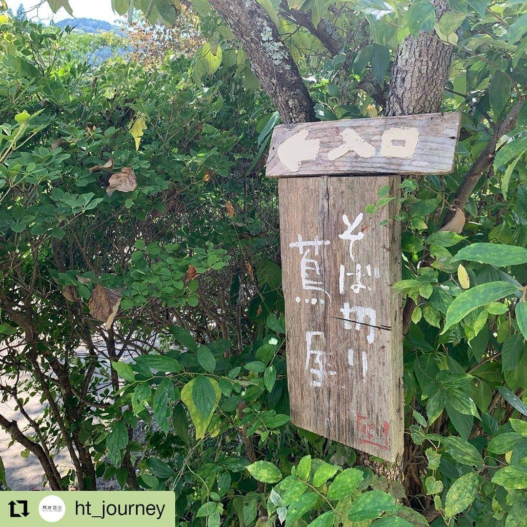 枚方T-SITEさんのインスタグラム写真 - (枚方T-SITEInstagram)「旅コンシェルジュの休日  #Repost @ht_journey • • • • • • 旅コンシェルジュのDay Trip  日曜日の休日。 週末の休みは友人と会う貴重な日。以前にフラワーアレンジメントを教えてもらっていた先生のおうちでレッスンしてもらい、ランチしてきました。  ランチは先生オススメのお蕎麦屋さん。3種の蕎麦コースを頂いたのですが、2つ目に出てきたお蕎麦はなんと！トマトソース。まるでイタリアン。トマトと蕎麦、ビックリするほど合います！ただトマトソースはこの日が最終日。もう秋のメニューに入るんですね。 お店にはクーラーはなく自然の風の中で頂きます。シャワーミストのおかげもあって心地良い夏のランチでした。  また野間の大ケヤキを見学。樹齢1000年の木は枝を大きく広げ、その木陰でくつろぐ観光客と地元の人達。交流の場にもなってます。資料館もあって日曜日はコーヒースタンドもあるので休憩場所として最高！  我々はすぐ近くにある石窯焼きのパン屋さんでお買い物。食パンとカンパーニュを買いました。帰りの車は焼き立てのパンの香りでいっぱい。  ちなみに朝早くに来ると道の駅「くりの郷」で能勢のとりたて野菜を買う事も出来ます。私達はランチの後に立ち寄ったので、ほとんど売り切れてました。  能勢は大阪から車で1時間くらい。でも日曜日は車が多いので、もう少し時間がかかります。 キャンプ場や温泉もあって日帰りでは時間が足りないくらい。  今回はお蕎麦屋さんをご紹介しましたが他にも「やまぼうし」という山好きのご夫婦のカフェや(夏は長期休業　春の桜の時や秋の紅葉の時がオススメ　9月2日から営業再開)、ロッジ風の建物の「cafe soto」のハンバーグも美味しいのです。 ちなみにお蕎麦屋さんの名前は「蔦屋」。このインスタを見て頂いてる方はすぐ覚えれますよね(笑)。  次のお休みにドライブに出かけてみませんか。お蕎麦屋さんは予約した方がいいかもしれません。  ✳︎田んぼの写真　稲の奥に青い屋根の建物がパン屋さん ✳︎茅葺き屋根の建物がお蕎麦屋さん  #枚方T-SITE #枚方蔦屋書店 #旅 #コンシェルジュ #能勢 #野間の大ケヤキ #蔦屋 #蕎麦 #石窯焼パン #薪パン日々 #やまぼうし #花曜日 #くりの郷 #tsutayabooks #tsutaya #茅葺き屋根」8月31日 19時11分 - hirakata_tsite