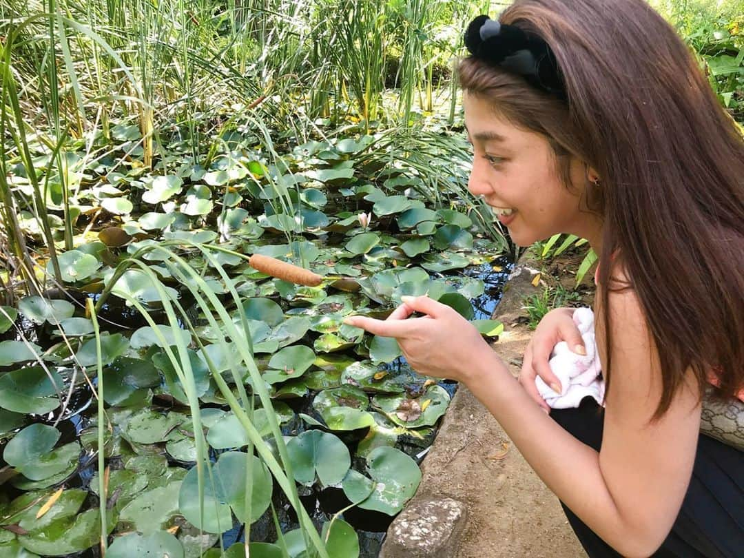 岡副麻希さんのインスタグラム写真 - (岡副麻希Instagram)「.﻿ 公園でパワー注入🌿🌈🌻☀️﻿ ﻿ この茶色のかたまりさんは、﻿ 昆虫がでてくるかと思ったのですが﻿ どうやらガマというお花でした💐﻿ 花言葉を調べると、素直、慈愛、、、などなど﻿。 すてき！💗﻿ ﻿ #久しぶりのお散歩#🤤 #ガマ #花言葉 #サラッと言えるひとになりたい﻿#😝 #マスクとハンカチを握りすぎ笑﻿ #2020夏 ﻿ カチューシャは先日投稿した﻿ #alexandredeparis です🦋💕﻿ ﻿」8月31日 19時18分 - maki_okazoe_official