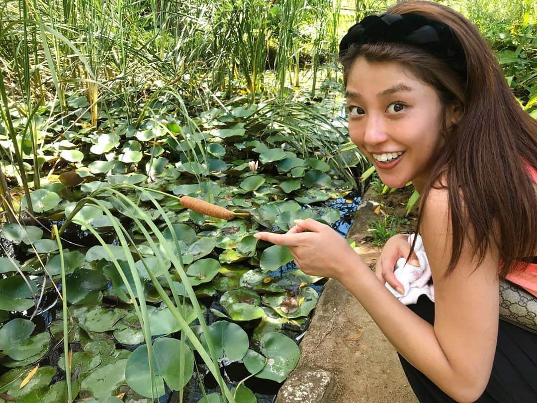 岡副麻希さんのインスタグラム写真 - (岡副麻希Instagram)「.﻿ 公園でパワー注入🌿🌈🌻☀️﻿ ﻿ この茶色のかたまりさんは、﻿ 昆虫がでてくるかと思ったのですが﻿ どうやらガマというお花でした💐﻿ 花言葉を調べると、素直、慈愛、、、などなど﻿。 すてき！💗﻿ ﻿ #久しぶりのお散歩#🤤 #ガマ #花言葉 #サラッと言えるひとになりたい﻿#😝 #マスクとハンカチを握りすぎ笑﻿ #2020夏 ﻿ カチューシャは先日投稿した﻿ #alexandredeparis です🦋💕﻿ ﻿」8月31日 19時18分 - maki_okazoe_official