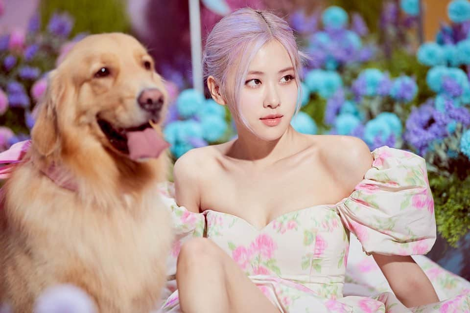 ロゼさんのインスタグラム写真 - (ロゼInstagram)「나는야 만쥬」8月31日 19時19分 - roses_are_rosie