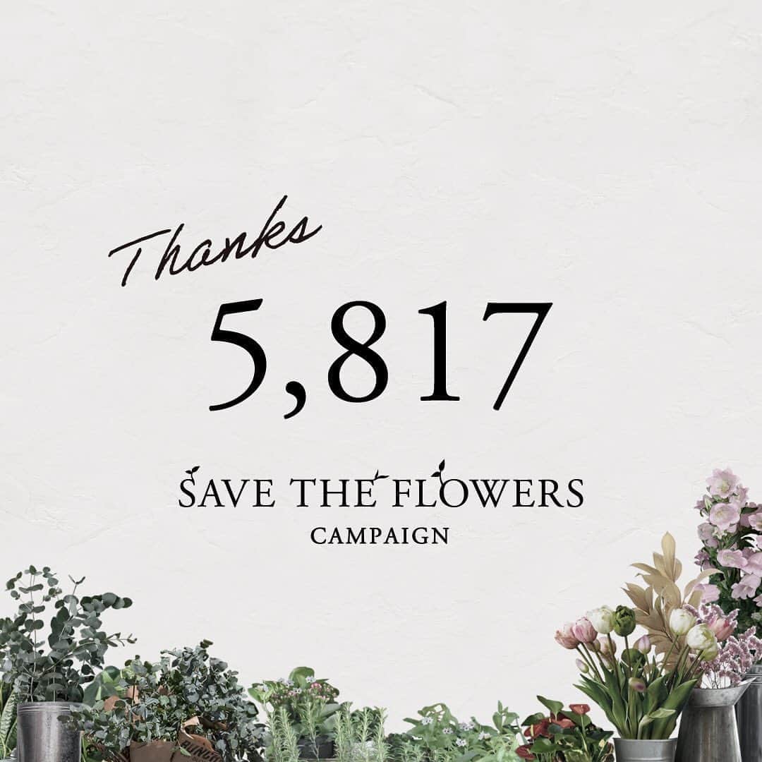 BOTANIST Tokyo（ボタニスト トウキョウ）さんのインスタグラム写真 - (BOTANIST Tokyo（ボタニスト トウキョウ）Instagram)「【Thanks! 5,817 Action!】 生産者さまからお花を購入し、フラワーロスの削減に繋げる【SAVE THE FLOWERS】キャンペーン🌼 みなさまのアクションで、581本のお花を購入することができました。 ご支援ご協力いただいた皆さま、本当にありがとうございます♪ ⠀⠀ キャンペーンで購入したお花は、9/5（土）11:00〜BOTANIST Tokyoにて、テイクフリーのお花として、配布いたします。※お花がなくなり次第終了になります。 ⠀⠀ 感染症対策もしっかりと行い配布させていただきますので、近くに立ち寄りの際は、お花をお持ち帰りいただけると嬉しいです🌿 ⠀⠀ ＜感染症対策＞ ✔︎ 密を避けて、屋外で配布させていただきます。 ✔︎ スタッフはマスクと手袋を着用して配布を行います。 ✔︎ みなさまがお手に触れる什器は定期的に消毒いたします。 ✔︎ 会場前に消毒液を設置させていただきます。 ⠀⠀ #共に生きる_BOTANIST #共に生きる_COEXITENCE​ ⠀⠀ #BOTANIST #ボタニスト #botanisttokyo #ボタニストトウキョウ #botanicalbeauty ⠀⠀ 🛀@botanist_official 🌍@botanist_global 🇨🇳@botanist_chinese」8月31日 19時33分 - botanist_tokyo