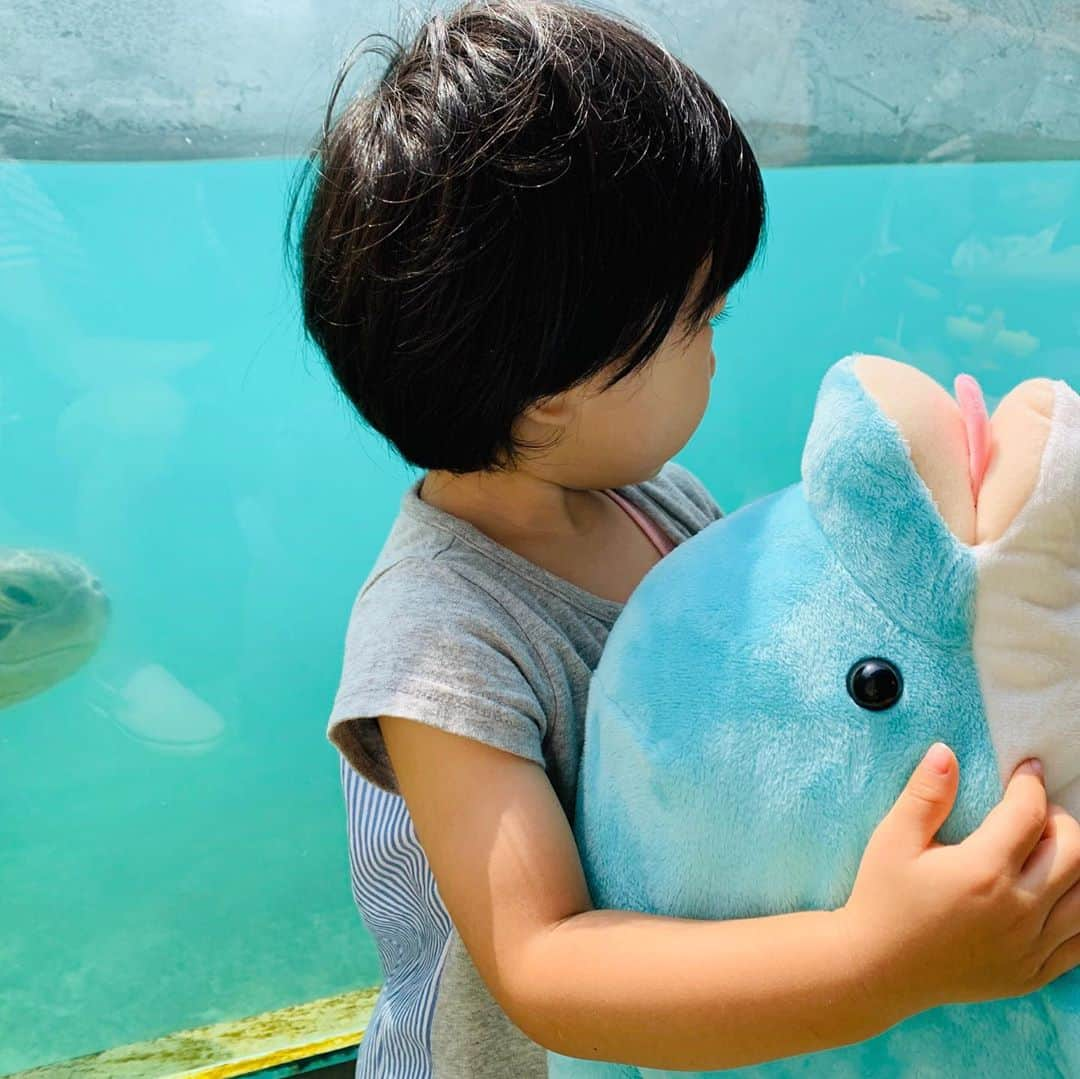 横山愛子さんのインスタグラム写真 - (横山愛子Instagram)「【新江ノ島水族館】空いててとても楽しめました^ ^ イルカショー🐬では最前列に座ったら、水がかかり！！子供達まさかの号泣…笑 でもそれもなんだか可愛くて面白かったなぁ^o^ また、グルグル回ってるくじ引きを、長女が自分でやったら、まさかの2等❤️❤️❤️ 凄すぎる！！運の持ち主^o^大きなイルカさんが当たりました😊 次女もお魚さん好きみたいです喜んでたなぁ^ - ^ 帰り際に海に寄って、足だけ入った長女ちゃん！真っ黒になったけど楽しんでいました( ◠‿◠ ) 唯一のオフを、疲れてるのに子供達のために必ずお出かけしてくれる主人に、感謝でした☆ありがとう😀 明日からまたがんばろーー！！」8月31日 19時56分 - aiaiko8