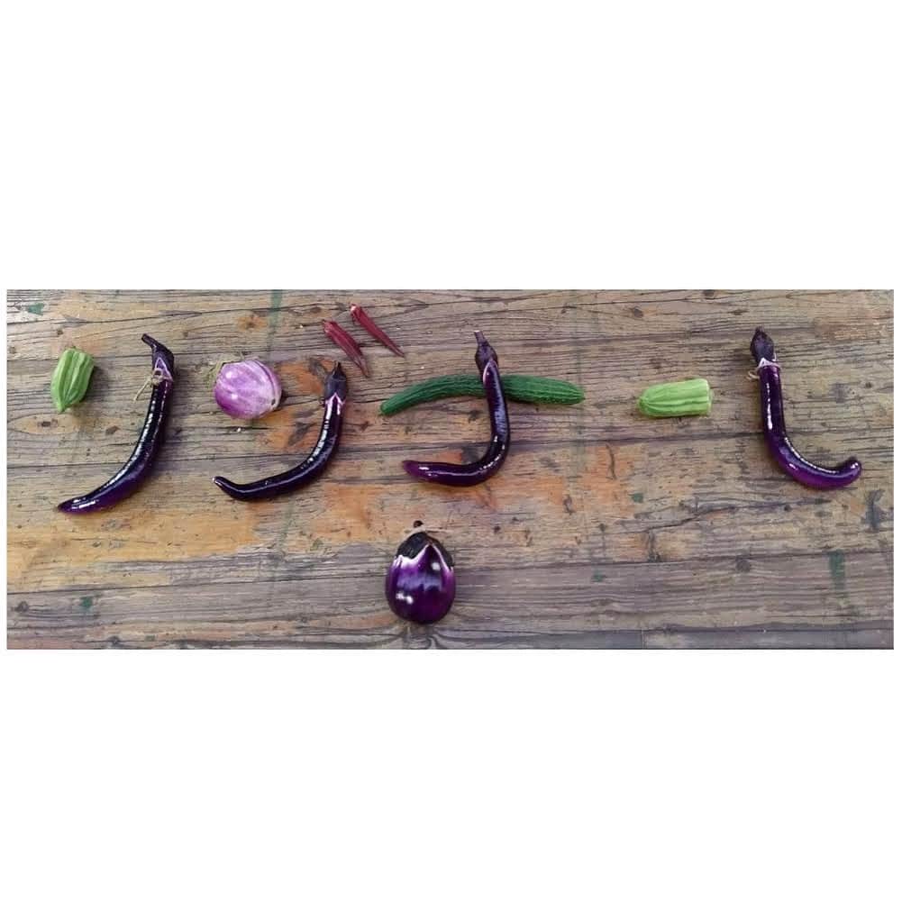 【公式】星野リゾート　リゾナーレさんのインスタグラム写真 - (【公式】星野リゾート　リゾナーレInstagram)「リゾナーレ那須では、この夏、夏野菜が続々と収穫できました。 茄子やきゅうり、オクラなど、普段はなかなか流通しない変わった種類にも出会うことができます。2枚目の写真は、収穫したお野菜で「リゾナーレ那須」の文字を作ってみました。「ジャパニーズピクリング 」 という長茄子が、大きく貢献してくれています。そして、地名の那須は「フィレンツェ」いう丸米''茄子''で表現してみました。（こちらの野菜はその後、レストランへ納品し、おいしく食べていただきました！） 秋に向けて畑も準備が整ってきました。#星野リゾート #星野リゾートリゾナーレ #星野リゾートリゾナーレ那須 #那須 #アグリツーリズモリゾート #アグリツーリズモ #旅行 #原風景 #夏 #アグリガーデン #夏野菜 #ジャパニーズピクリング #長茄子 #オンライン旅行 #おうちで旅体験 #旅行気分 #hoshinoresorts #hoshinoresortsrisonare #hoshinoresortsrisonarenasu #risonarenasu #travel #agriturismoresort # #agriturismo #landscape #japan #superbview #summer #onlinetravel #travelmood」8月31日 20時10分 - hoshinoresorts.risonare