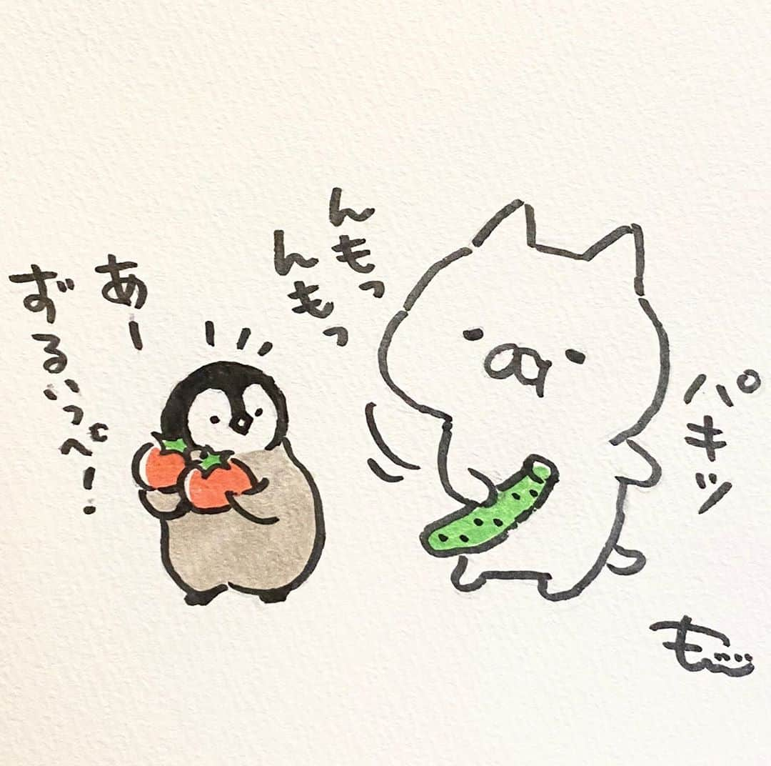 もじじさんのインスタグラム写真 - (もじじInstagram)「とりたてやさい🍅🥒  #ねこぺん日和#ねこぺん#ねこくん#ぺんちゃん#野菜の日」8月31日 20時05分 - mojiji2014