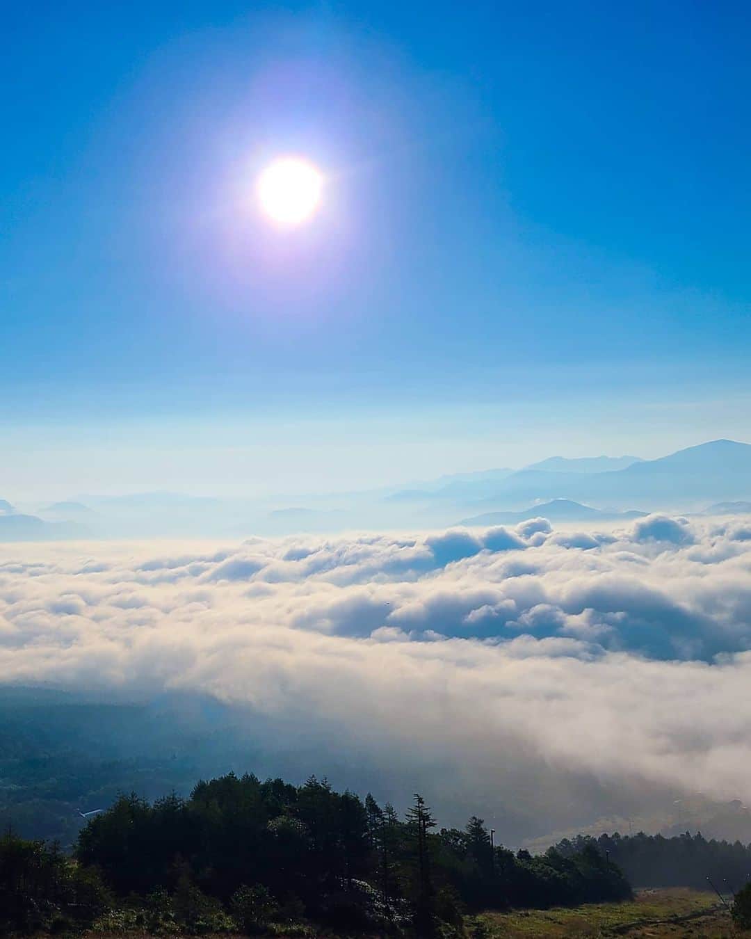 Hairmake Shinoさんのインスタグラム写真 - (Hairmake ShinoInstagram)「雲の上でのんびり☁️☁️ ． 先日撮影で伺った サンメドウズ清里でのオフショット【 @sunmeadows3302 】 ． 朝４時起きだったけど、山の上から見る雲海はとても神秘的な光景 ． 標高1900mのプライベート空間『清里テラス』は、冬はスキー場になる場所だからこの時期限定の雲の上の癒し空間💓 ． ． #清里テラス #山梨観光 #山梨カフェ #山梨旅行 #空が好き #雲 #スキー場 #カフェ巡り #雲海テラス #雲海 #雲海カフェ #のんびり#癒し」8月31日 20時38分 - hairmakeshino