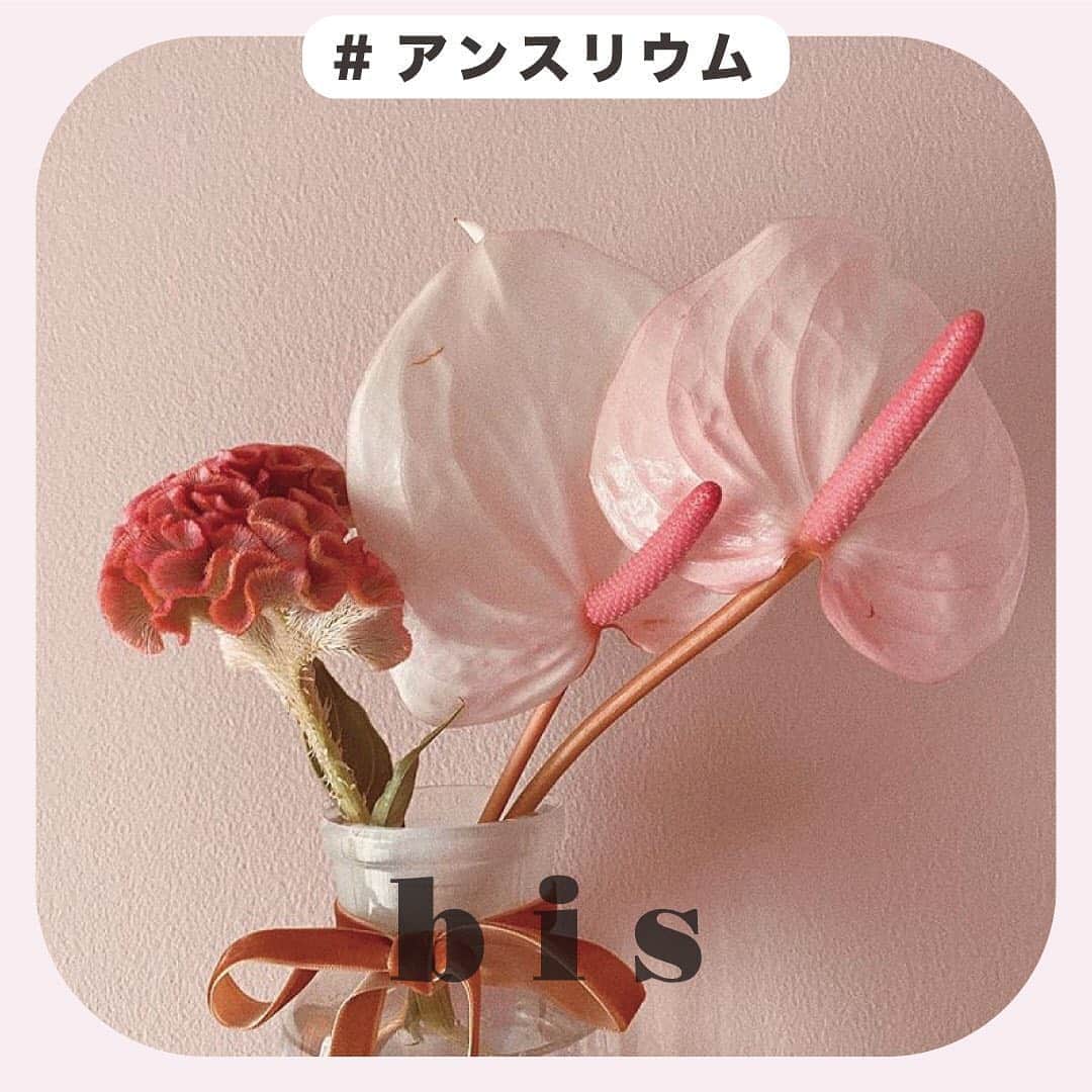 bis_web bis [ビス] のインスタグラム