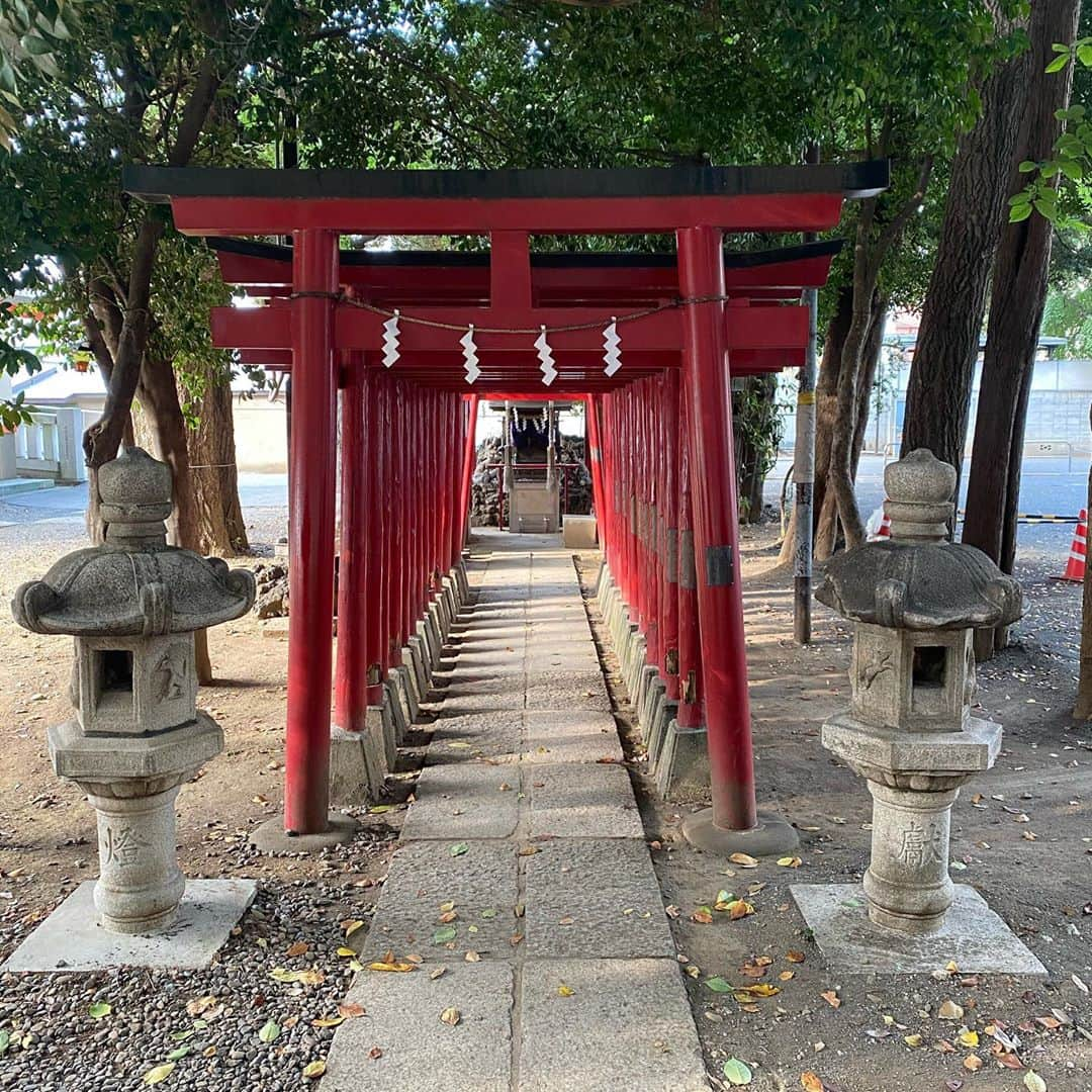 吉野マリアさんのインスタグラム写真 - (吉野マリアInstagram)「. パワースポット巡り⛩✨ . 沢山パワーをもらって 下半期も気合入れて頑張るでぇ💪 . . #japan #torii #shrine #santuario #calorinfernal #神社 #神社巡り #パワースポット #芸能神社 #芸能浅間神社 #穴八幡宮 #明治神宮 #代々木八幡宮 #花園神社」8月31日 21時58分 - maria.919