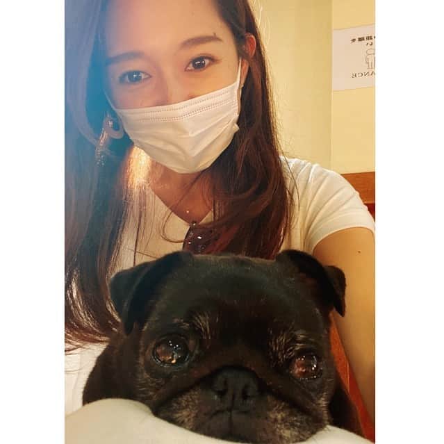 阿部智帆のインスタグラム：「先日、お誕生日を迎えました🎂 . メッセージ・DMをくださったみなさん ありがとうございました(^^)❤︎ .  ここからの１年も感謝を忘れず 穏やかに、自分らしく過ごしていきます🥰　 . これからもよろしくお願いします🌹 . . . #ドッグカフェのかわい子ちゃん🐶❤️」