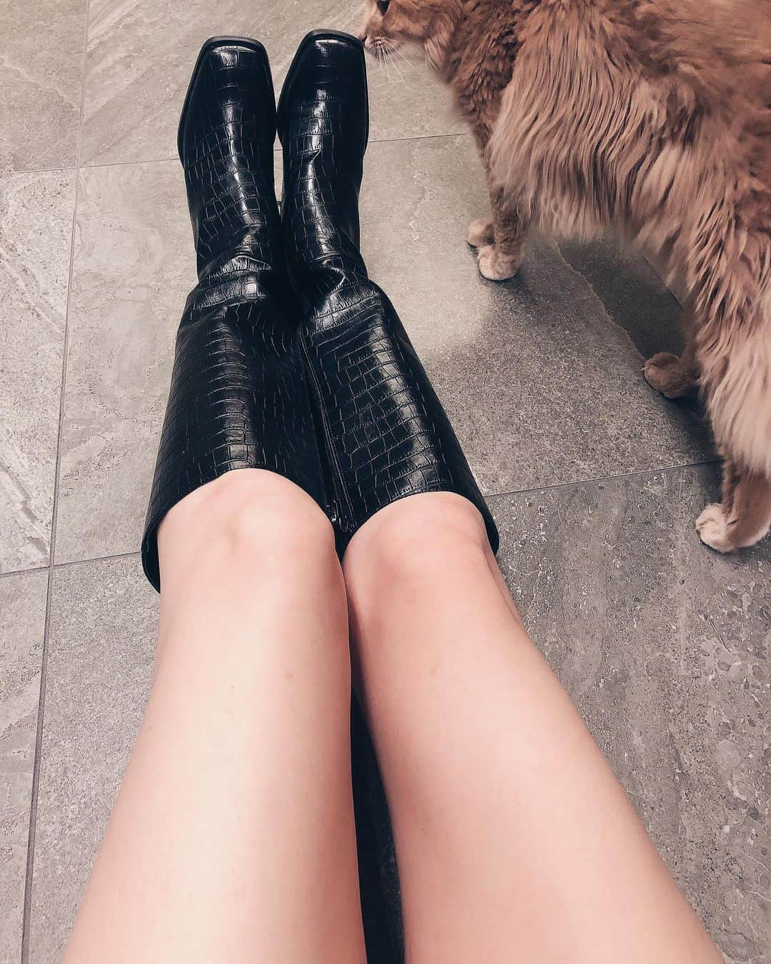 ダレノガレ明美さんのインスタグラム写真 - (ダレノガレ明美Instagram)「可愛いブーツ👢 早く履きたいから秋になってください！ お願いします👏 @evris_official  可愛いから2色買い🦋」8月31日 22時06分 - darenogare.akemi