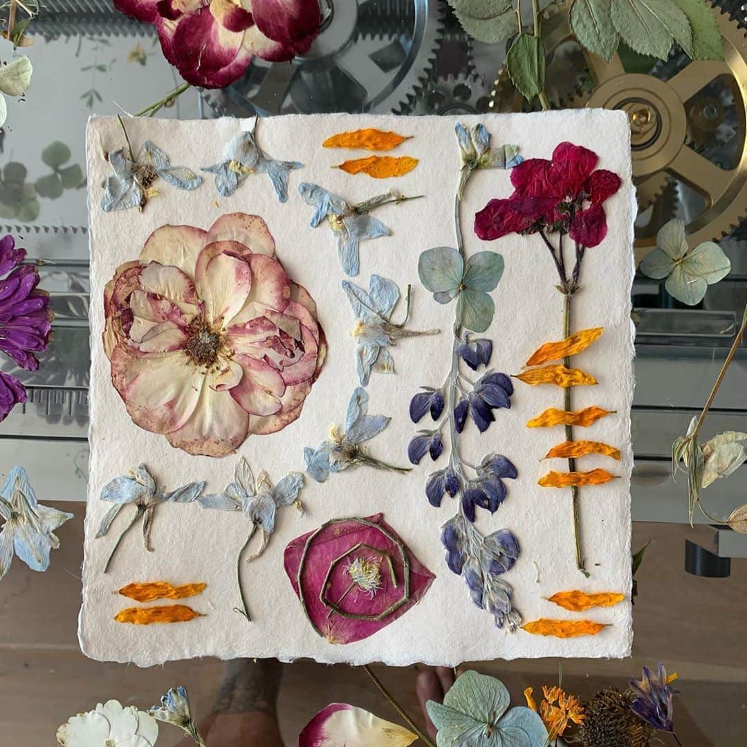 ロージー・オドネルさんのインスタグラム写真 - (ロージー・オドネルInstagram)「without n with #doodle #pressedflowers #artheals」8月31日 22時44分 - rosie