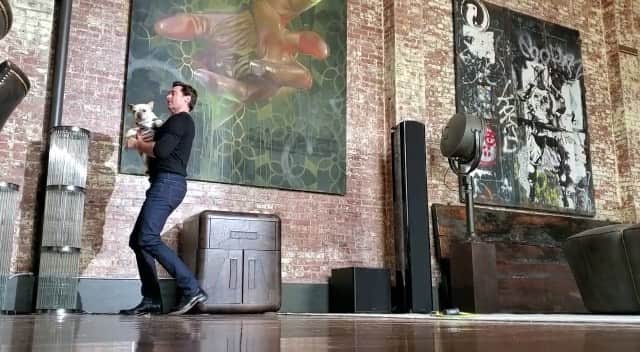 ヒュー・ジャックマンのインスタグラム：「Yes ... yes I do dance with my costar. #Dali」